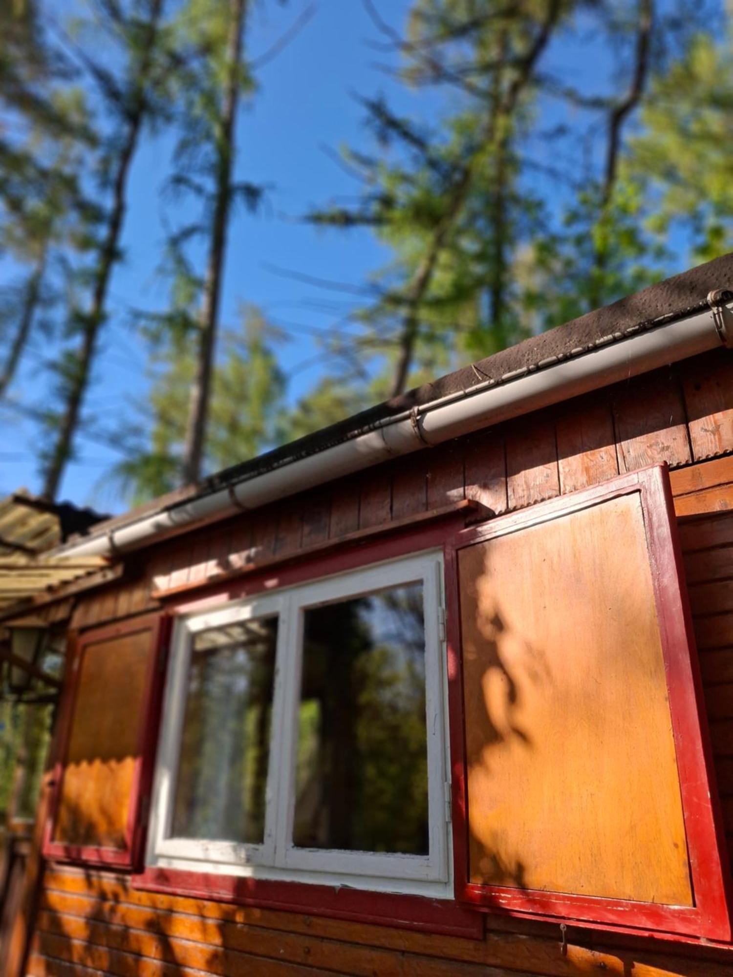 Waldidylle - Bungalows An Der Talsperre Kriebstein Exterior photo